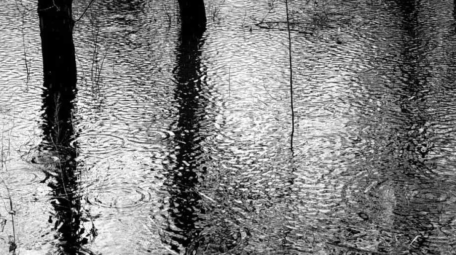 Fot. Zdjęcie ilustracyjne