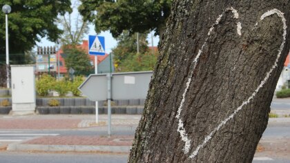 Ostrów Mazowiecka - Serce z drzewa - nowa Ostrowska Zagadka! Witajcie ponownie, 