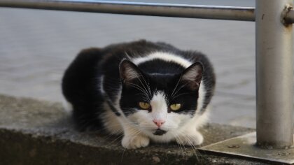 Ostrów Mazowiecka - Witajcie kolejny raz, miłośnicy zagadkowych zdjęć!
[foto]37
