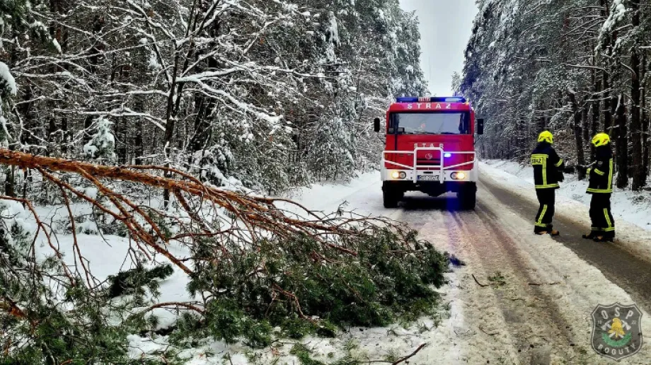 Fot. Ochotnicza Straż Pożarna w Bogutach-Piankach/Facebook