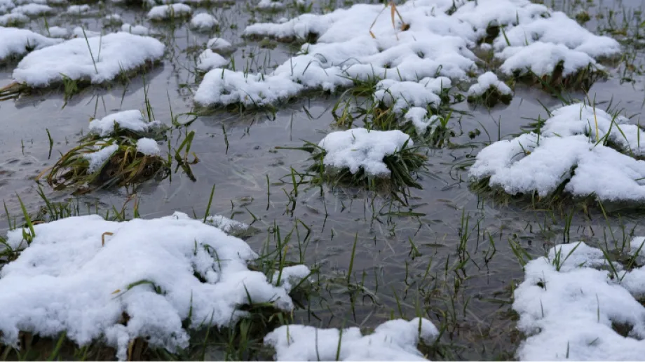 Fot. Zdjęcie podglądowe 