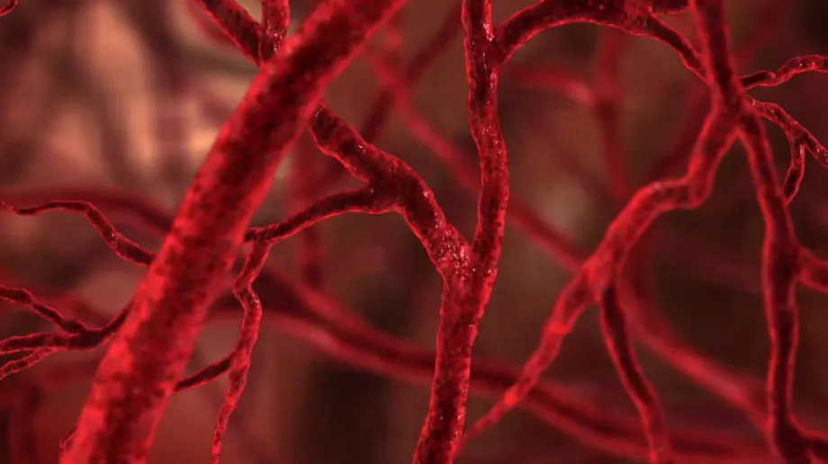 Fot. Materiały organizatora