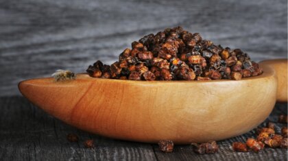 Ostrów Mazowiecka - Pierzga pszczela jest jednym z tych naturalnych darów, które