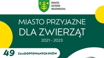 Ostrów Mazowiecka - W roku 2021 Miasto Ostrów Mazowiecka utworzyło tymczasowy pu