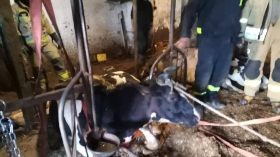 Fot.  KSRG OSP Andrzejewo/Facebook