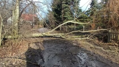 Ostrów Mazowiecka - W poniedziałek, 5 lutego 2024 roku o godzinie 13:16 jednostk
