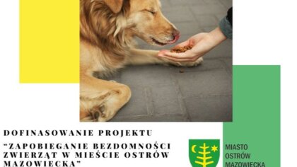 Ostrów Mazowiecka - Miasto Ostrów Mazowiecka otrzymało dofinansowanie w wysokośc