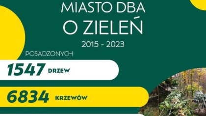 Ostrów Mazowiecka - W Ostrowi Mazowieckiej w latach 2015-2023 nasadzono łącznie 