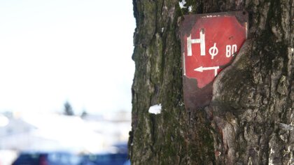 Ostrów Mazowiecka - Witajcie raz jeszcze, znający odpowiedzi na ostrowskie dziwy