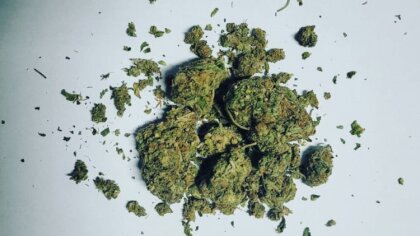 Ostrów Mazowiecka - W minioną sobotę, ostrowscy funkcjonariusze wydziału prewenc