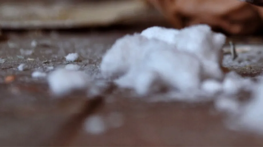 Fot. Zdjęcie podglądowe 