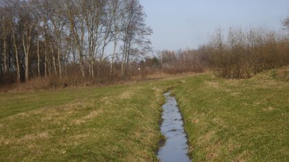 Ostrów Mazowiecka - Zachmurzenie duże z przejaśnieniami. Opady deszczu do 4 mm. 