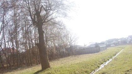 Ostrów Mazowiecka - Pochmurno i mglisto z przejaśnieniami i rozpogodzeniami. Na 