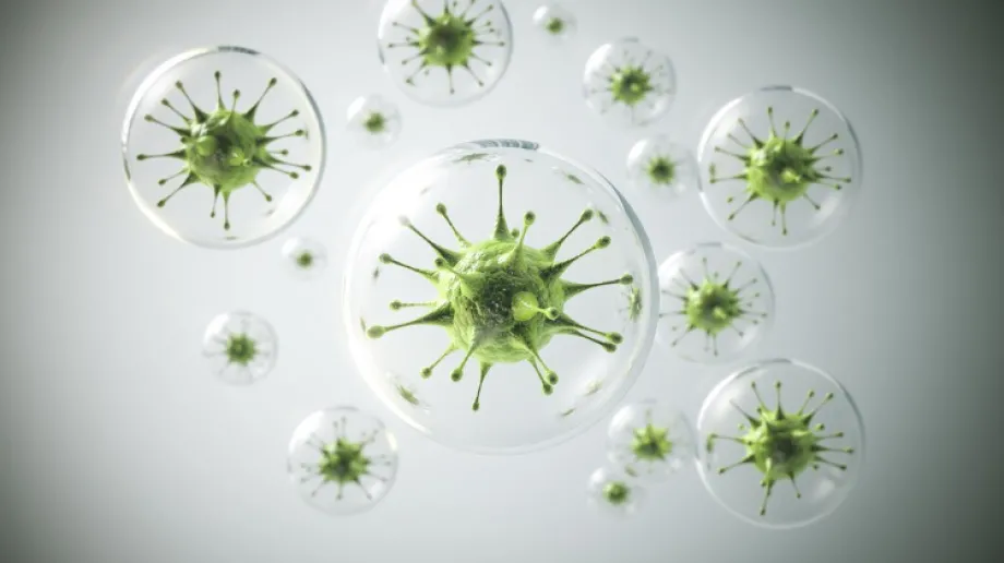 Fot. zdjęcie podglądowe 