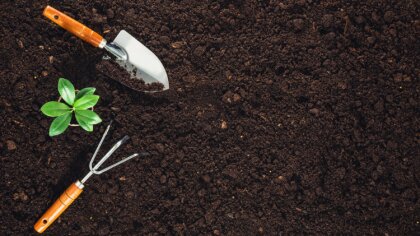Ostrów Mazowiecka - Wszyscy ogrodnicy doskonale zdają sobie sprawę, jak ważna je