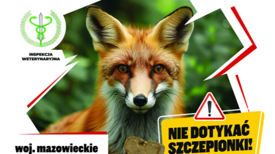 Fot. Materiały organizatora