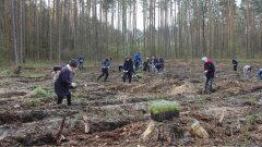 Ostrów Mazowiecka - Sadzenie lasów to nie tylko działanie proekologicz