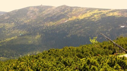 Ostrów Mazowiecka - Wiele osób w całej Polsce a także poza jej granicami szuka m