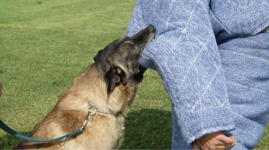 Zdjęcie ilustracyjne