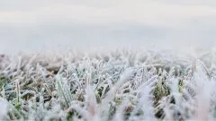 Silne mrozy w regionie. IMGW ostrzega mieszkańców