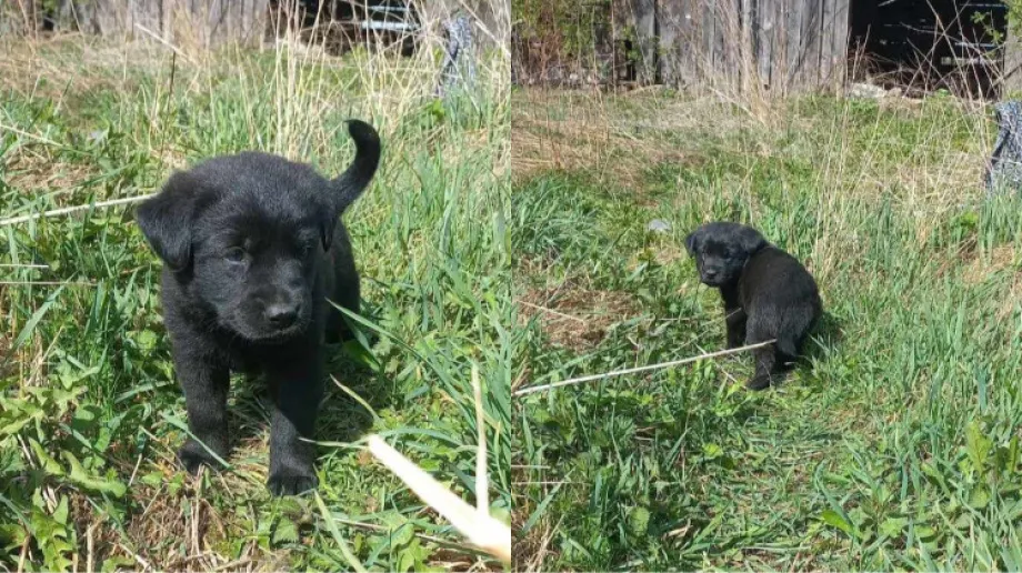 Fot. Urząd Gminy Boguty-Pianki