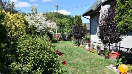 Ostrów Mazowiecka - Odbyła się już XI edycja konkursu na 