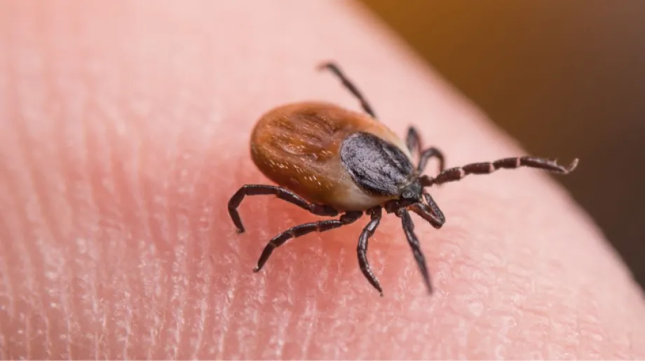 Zdjęcie ilustracyjne