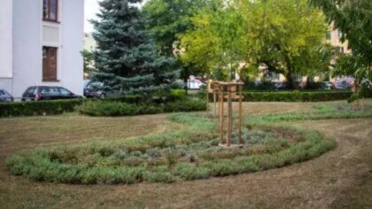 Ostrów Mazowiecka - Za sprawą „Raportu o stanie miasta Ostrów Mazowiecka za 2023