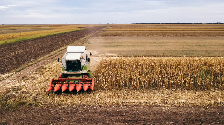 Zdjęcie ilustracyjne