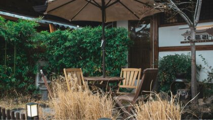 Ostrów Mazowiecka - Wiosną i latem spędza się sporo czasu w ogrodzie na słońcu, 