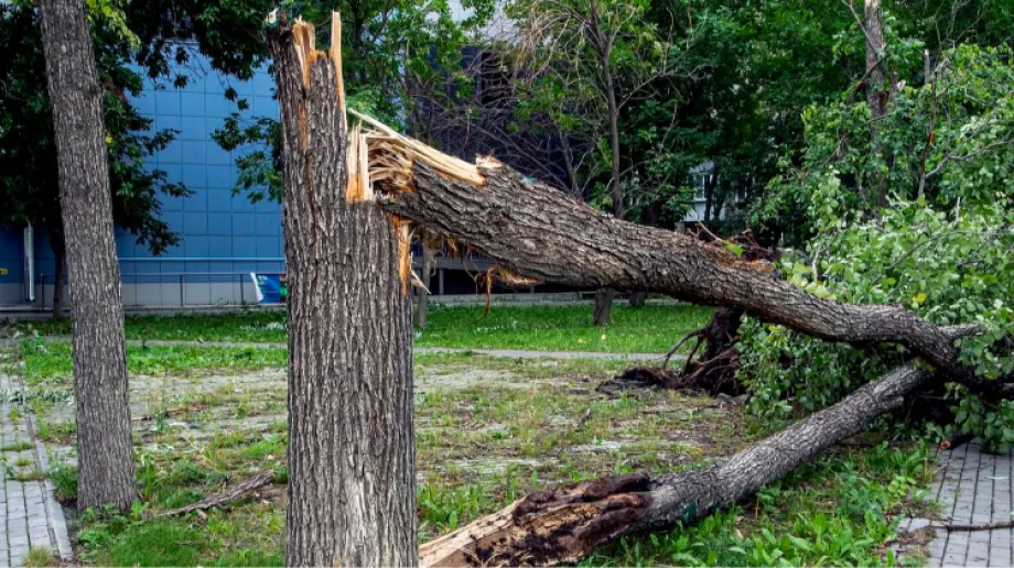 Zdjęcie ilustracyjne