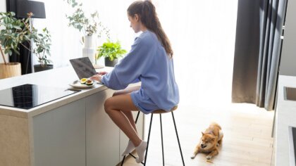 Ostrów Mazowiecka - Jednoosobowa działalność gospodarcza – w skrócie JDG – stano