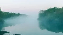 Mgła jak mleko. Wieczorne i poranne zamglenia utrudniają życie