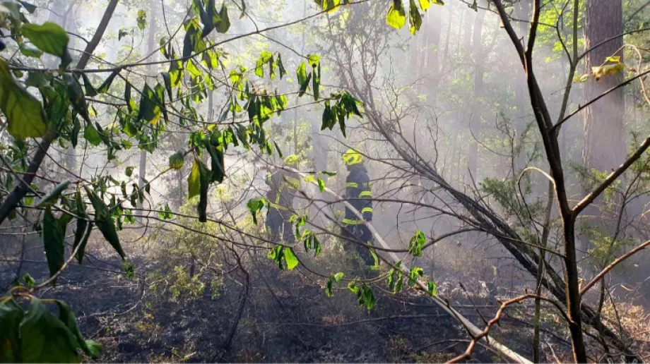 Fot. OSP Boguty-Pianki