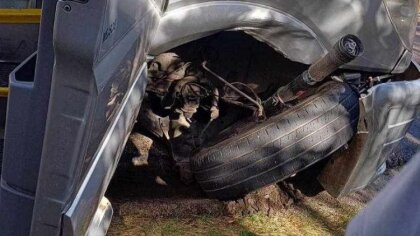 Ostrów Mazowiecka - Piłkarze Ostrovii mieli zmierzyć się z Wkrą Bieżuń. Spotkani