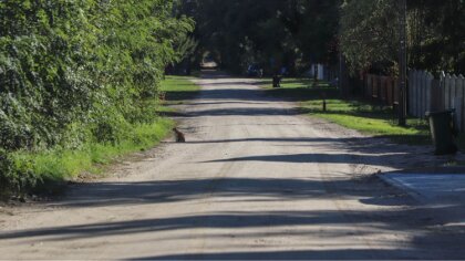 Ostrów Mazowiecka - Podczas ostatniej sesji Rady Miasta Ostrów Mazowiecka radny 