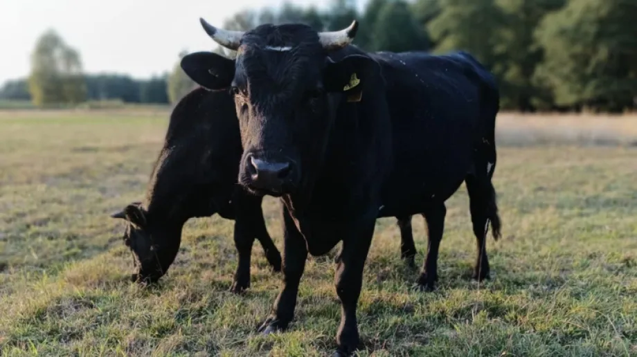 Fot. Krajowa Sieć Gospodarstw Demonstracyjnych