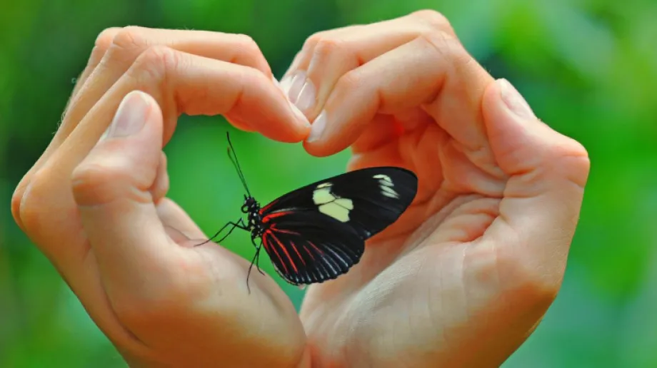 Zdjęcie ilustracyjne