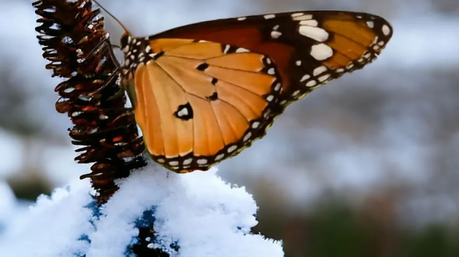 Zdjęcie ilustracyjne