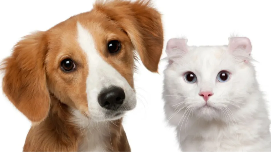 Zdjęcie ilustracyjne