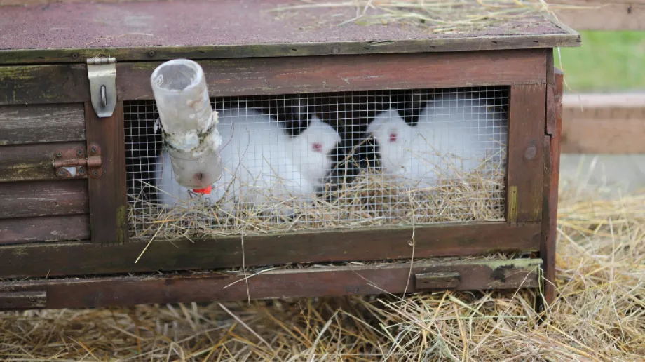 Fot. Urząd Miasta i Gminy Brok