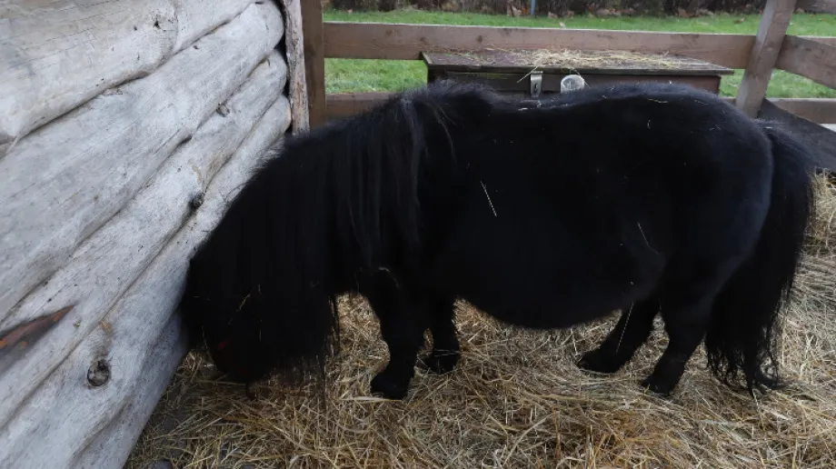 Fot. Urząd Miasta i Gminy Brok