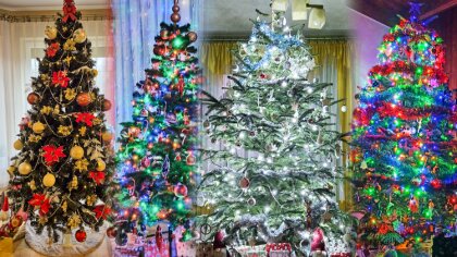 Ostrów Mazowiecka - Które świąteczne drzewko zasługuje na megazestaw klocków Leg