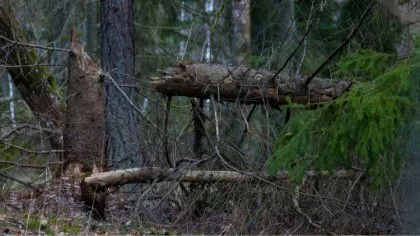 Niespokojna aura dała się we znaki mieszkańcom regionu i zmu