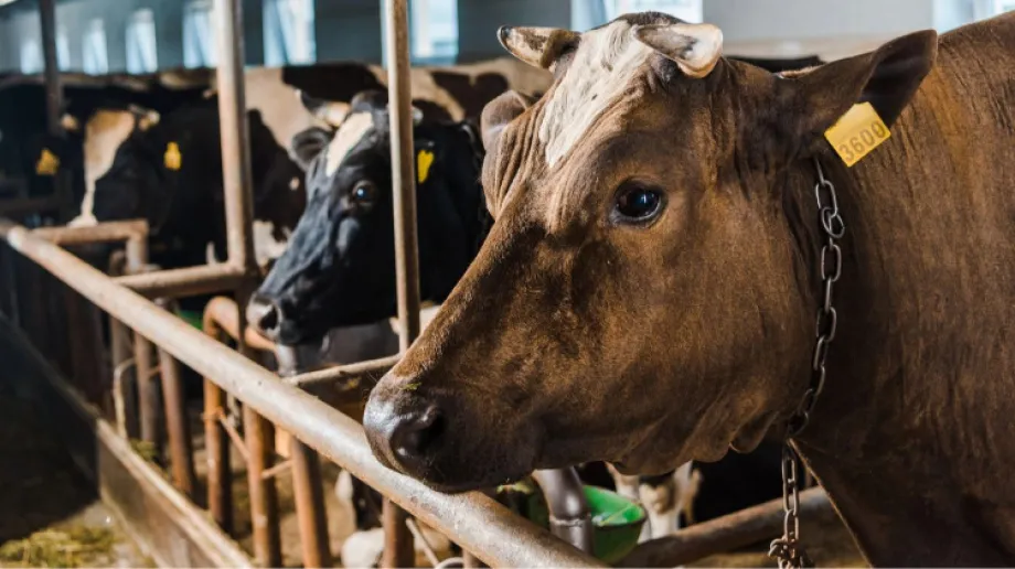 Zdjęcie ilustracyjne