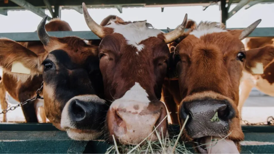 Zdjęcie ilustracyjne