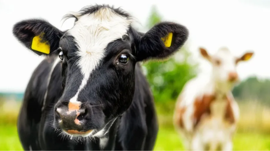 Zdjęcie ilustracyjne