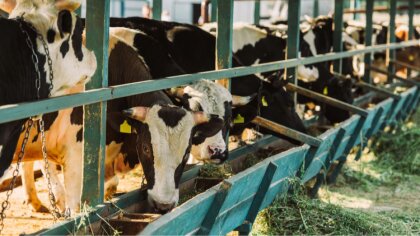 Ostrów Mazowiecka - Burmistrz Miasta Hubert Betlejewski zaprasza wszystkich roln