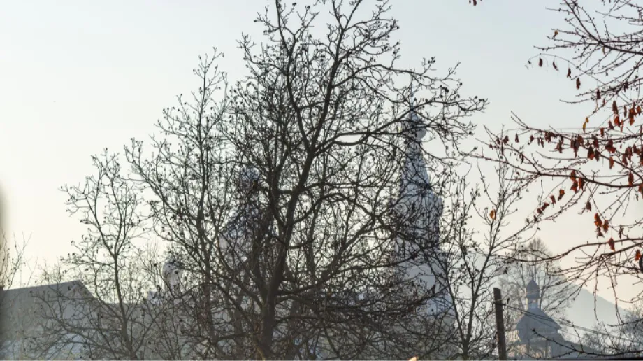 Zdjęcie ilustracyjne