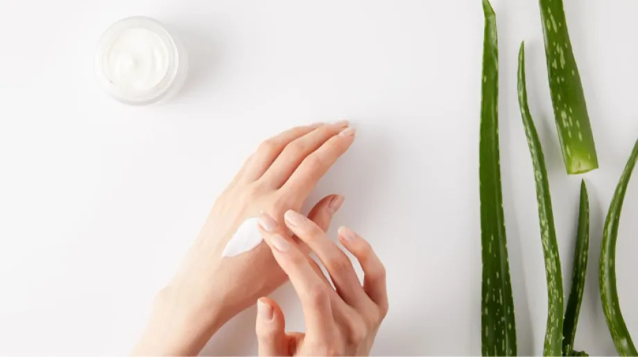 Zdjęcie ilustracyjne